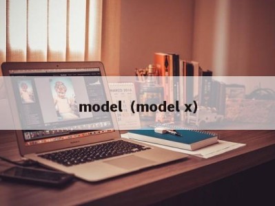 上海model（model x）