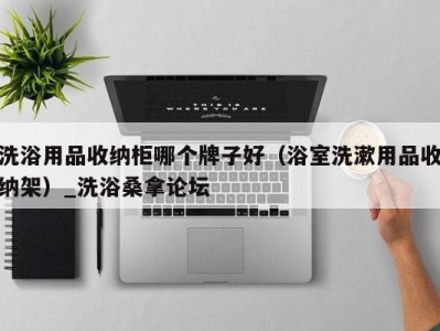 上海洗浴用品收纳柜哪个牌子好（浴室洗漱用品收纳架）_洗浴桑拿论坛