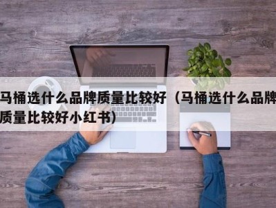 上海马桶选什么品牌质量比较好（马桶选什么品牌质量比较好小红书）