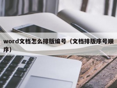 上海word文档怎么排版编号（文档排版序号顺序）